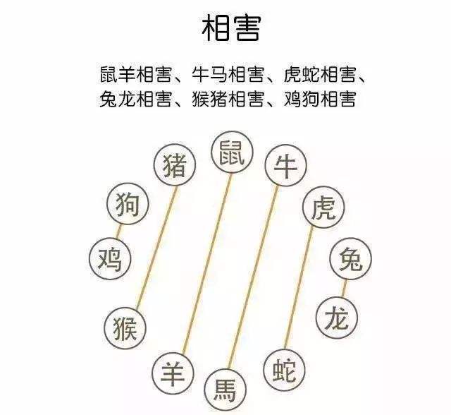 十二生肖配对相冲表(十二生肖配对相冲表图)