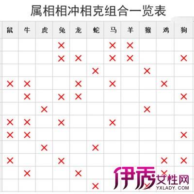 十二生肖属相相合表图大全(十二生肖属相相合表图大全图片)
