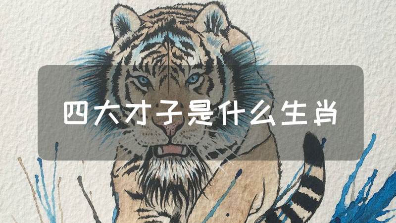 属才子的生肖表(才子是哪几个生肖)