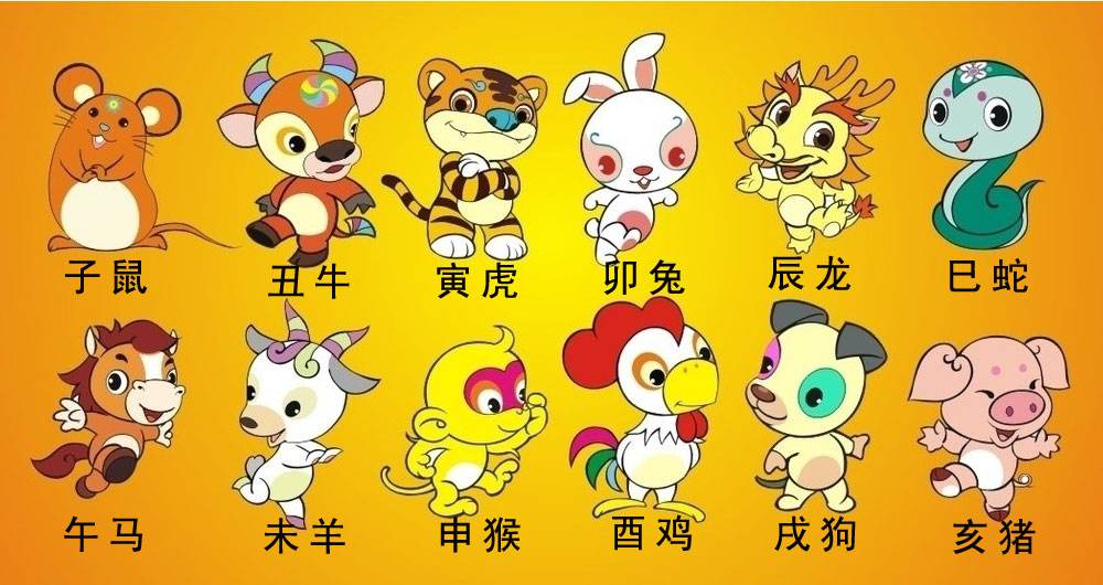 十二生肖属相表怎么摆放(十二生肖属相表怎么摆放好看)
