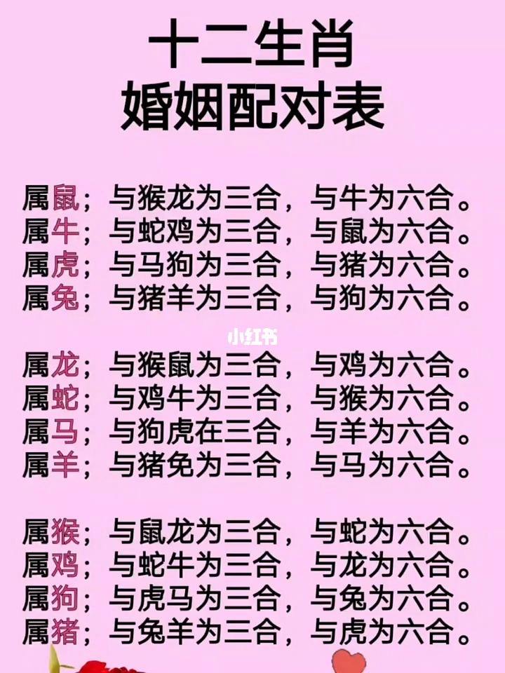 哪个软件能看十二生肖表(哪个软件能看十二生肖表演)
