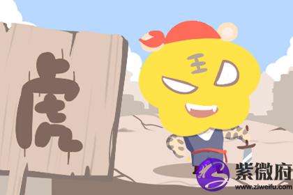 生肖鼠和虎夫妻运势(属性虎跟属性鼠的婚姻运)