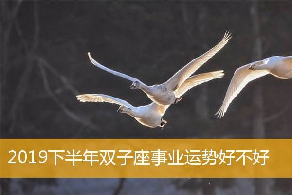 双子座今日运势汉(双子座今日运势双子座运势)