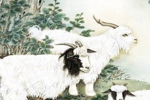 生肖羊农历1月份运势(生肖羊农历1月份运势如何)