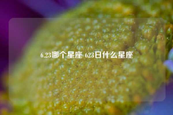 6.23哪个星座 623日什么星座