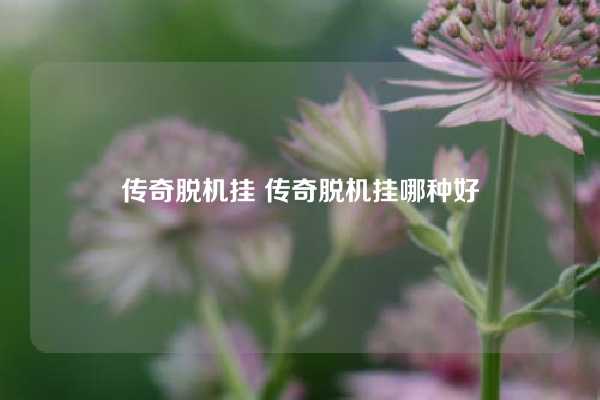 传奇脱机挂 传奇脱机挂哪种好
