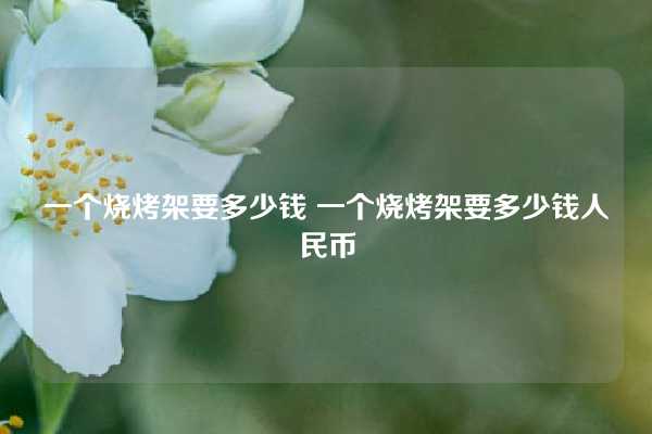 一个烧烤架要多少钱 一个烧烤架要多少钱人民币