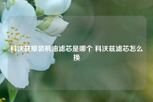 科沃兹原装机油滤芯是哪个 科沃兹滤芯怎么换
