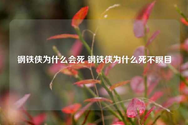 钢铁侠为什么会死 钢铁侠为什么死不瞑目
