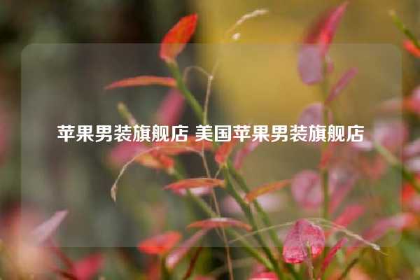 苹果男装旗舰店 美国苹果男装旗舰店