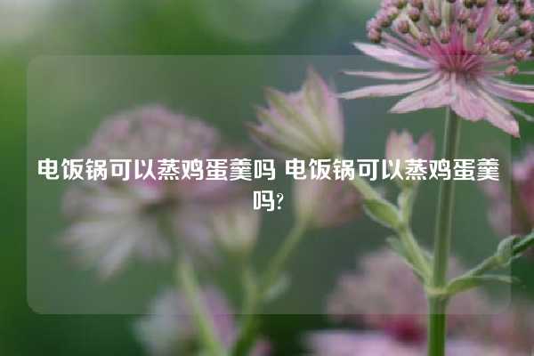 电饭锅可以蒸鸡蛋羹吗 电饭锅可以蒸鸡蛋羹吗?